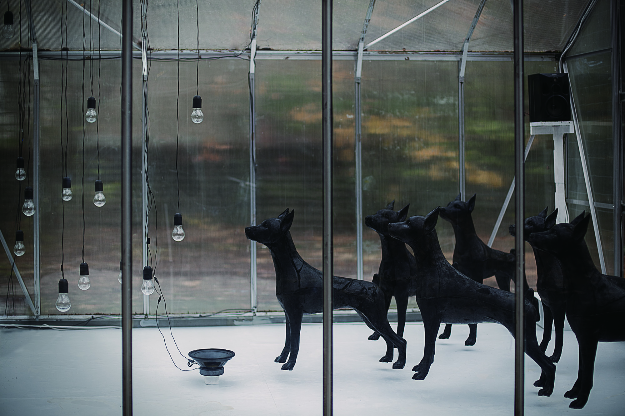 I'M JUST A DOG_superbien! detail