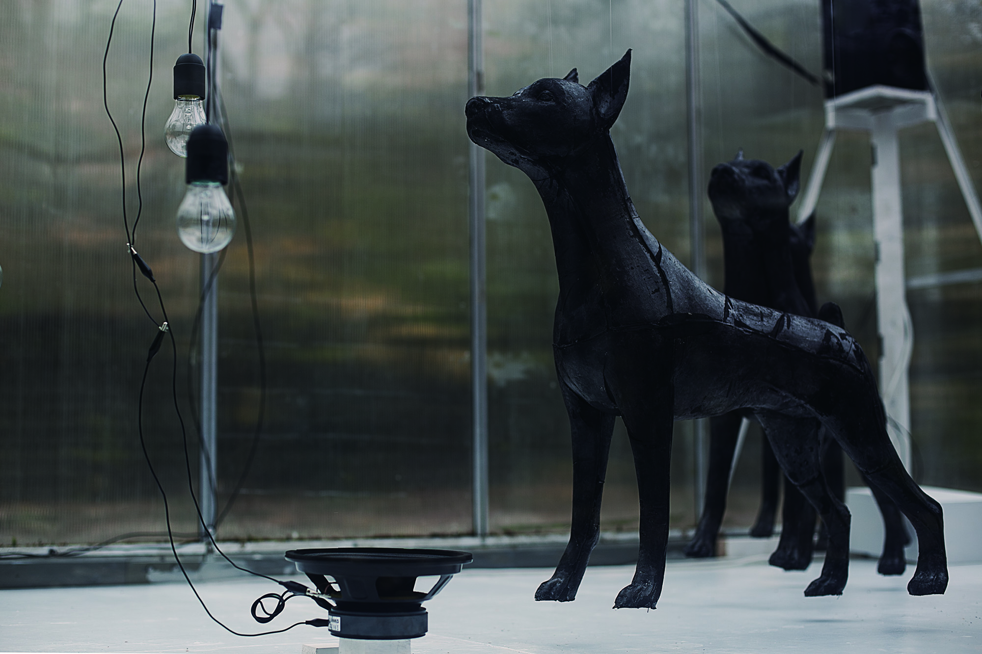 I'M JUST A DOG_superbien! detail