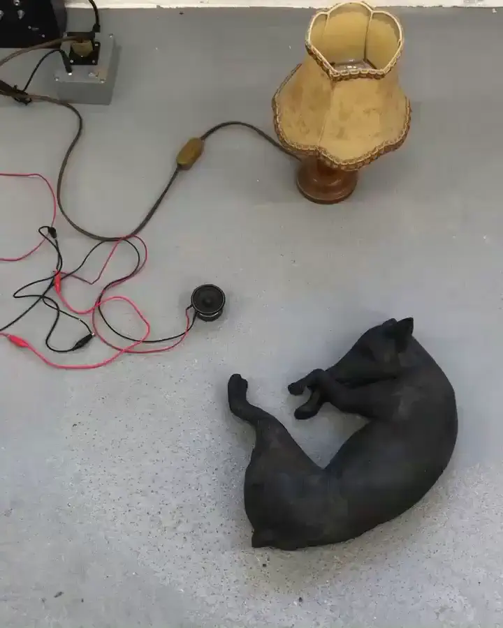 Sound of a dog