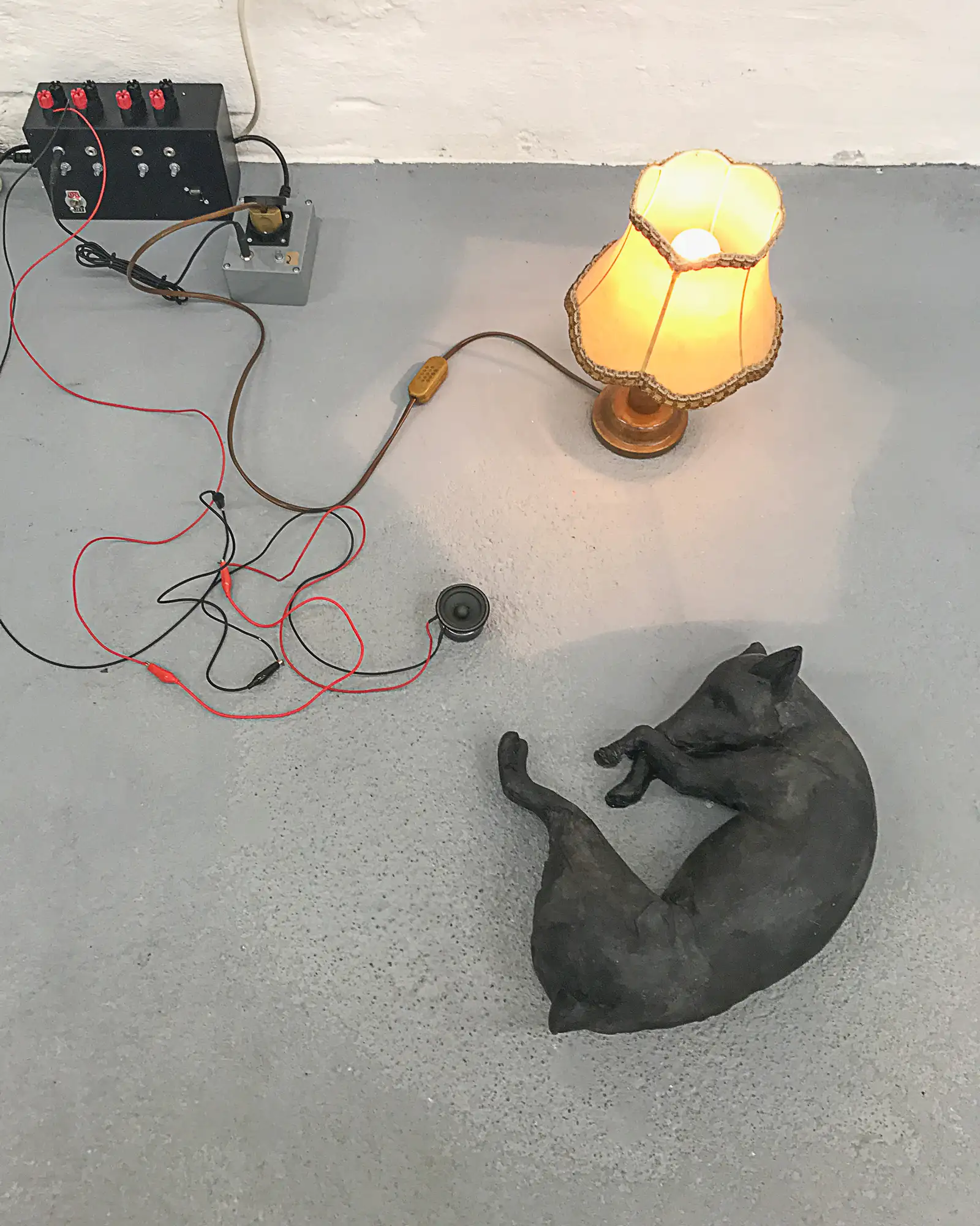 Sound of a dog video